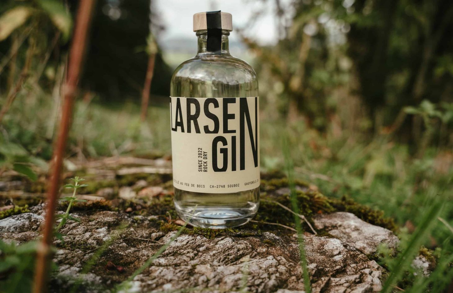 éarsen Gin croc' the Rock Festival