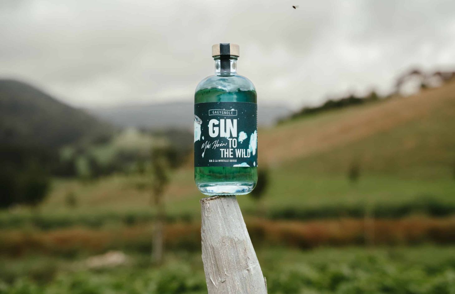 Mike Horn Gin to the wild