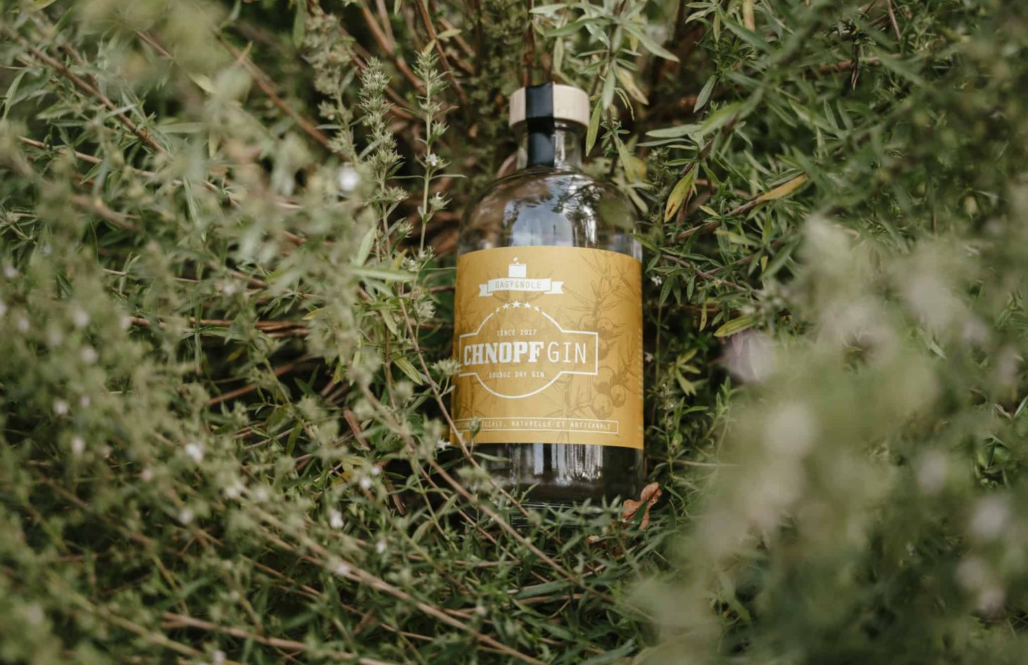 Imag-Gin Zirkus Chnopf