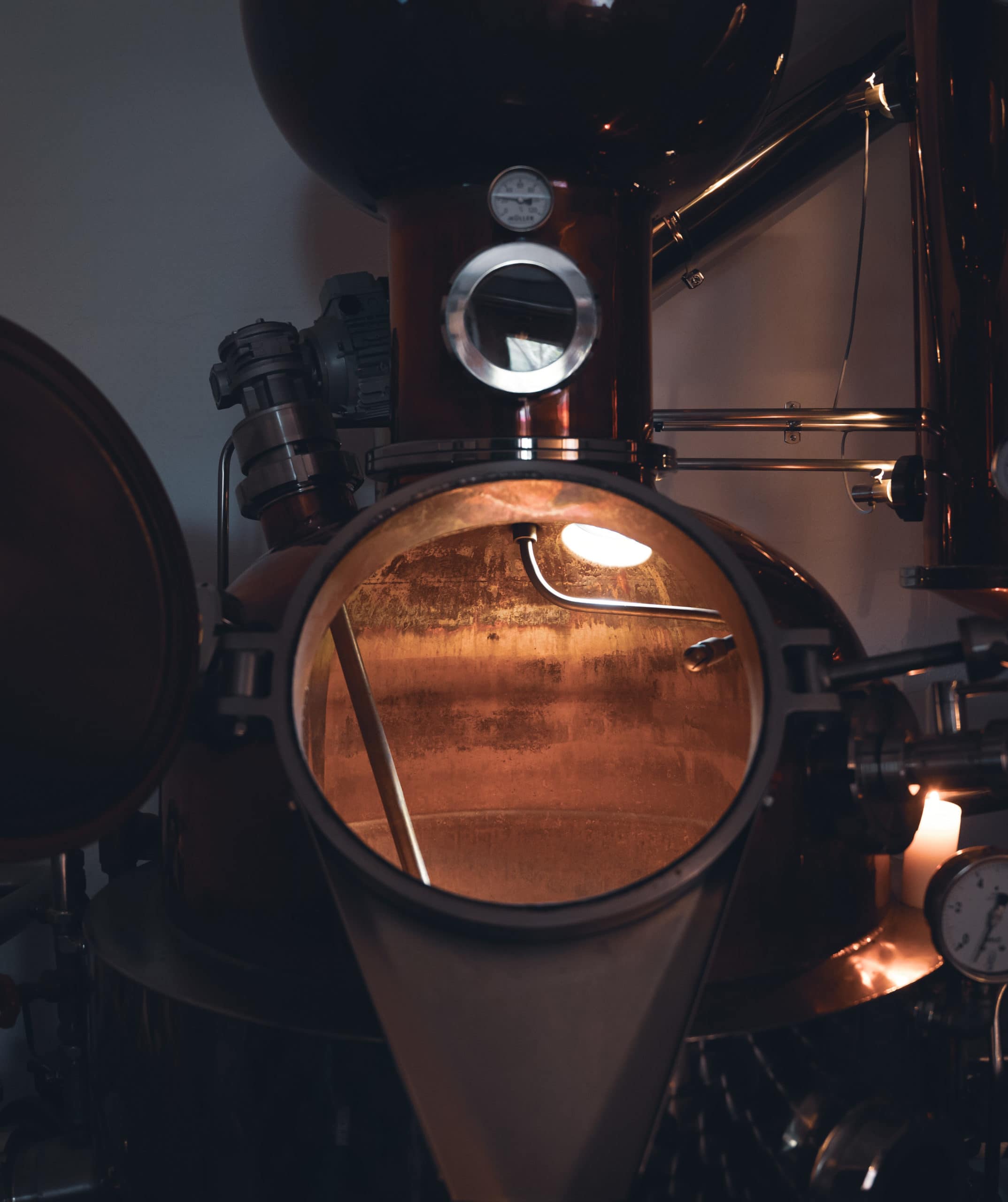 Woodka bio – Image 4