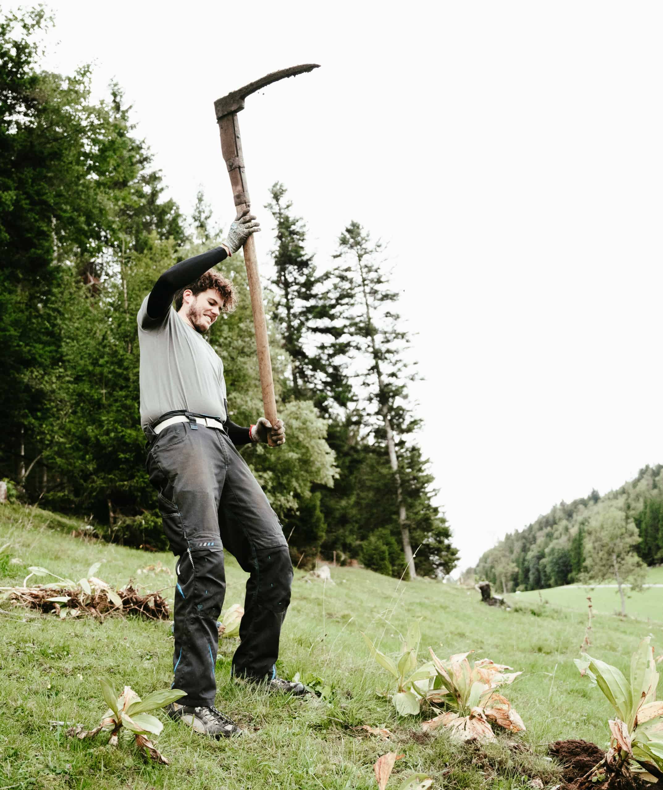 Souboziane bio – Bild 2