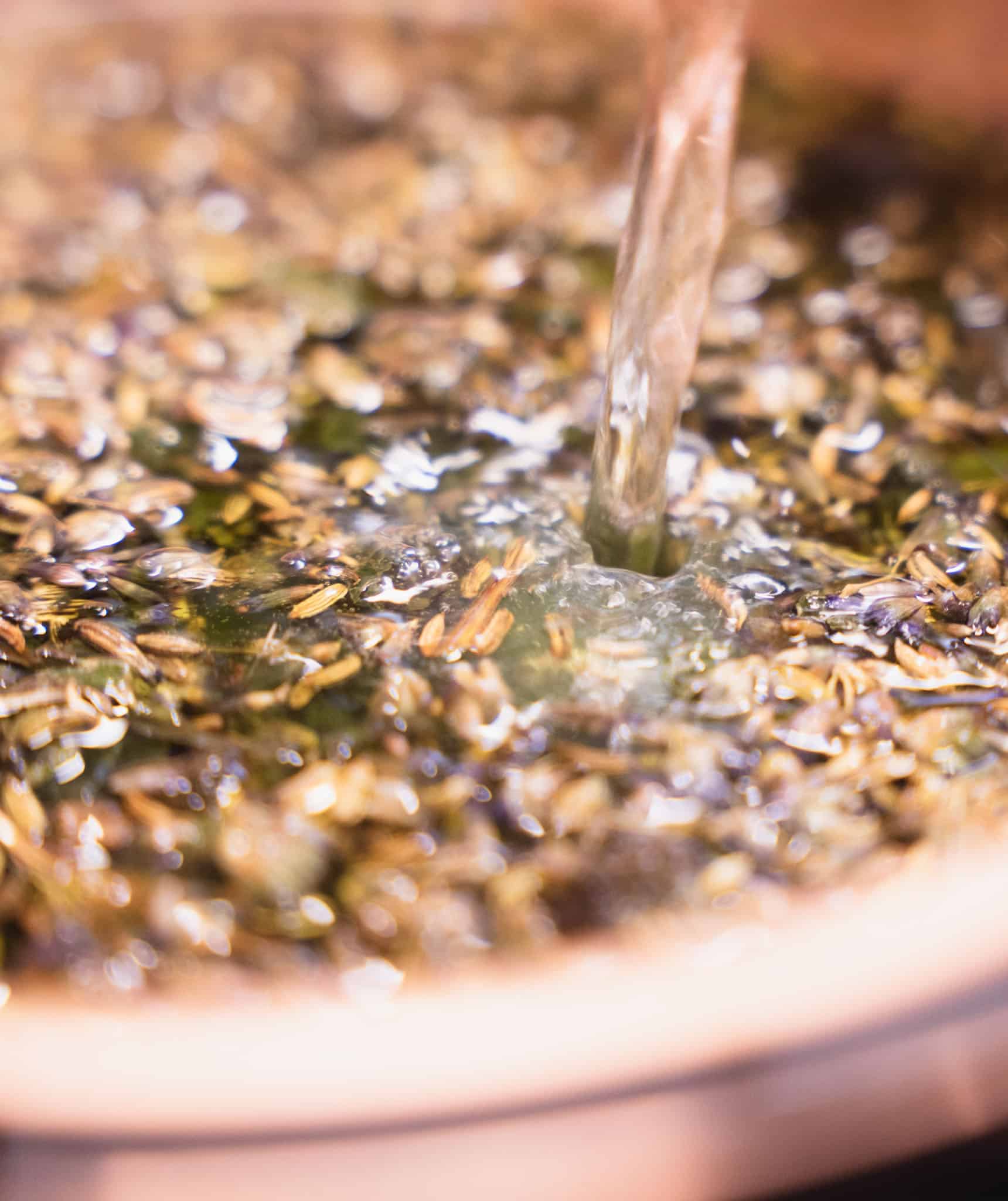 Sympastis bio – Image 2