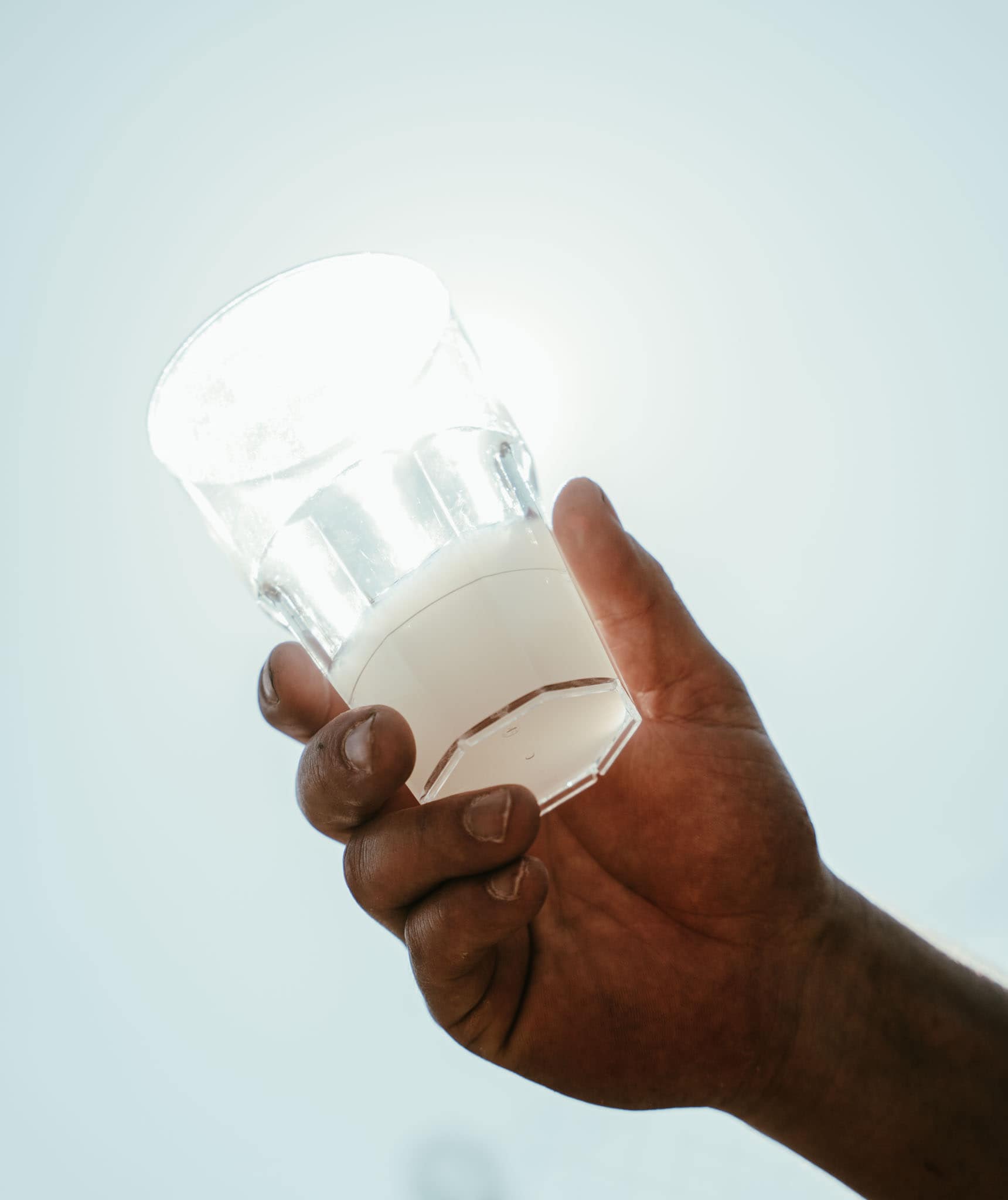 Sympastis bio – Image 3