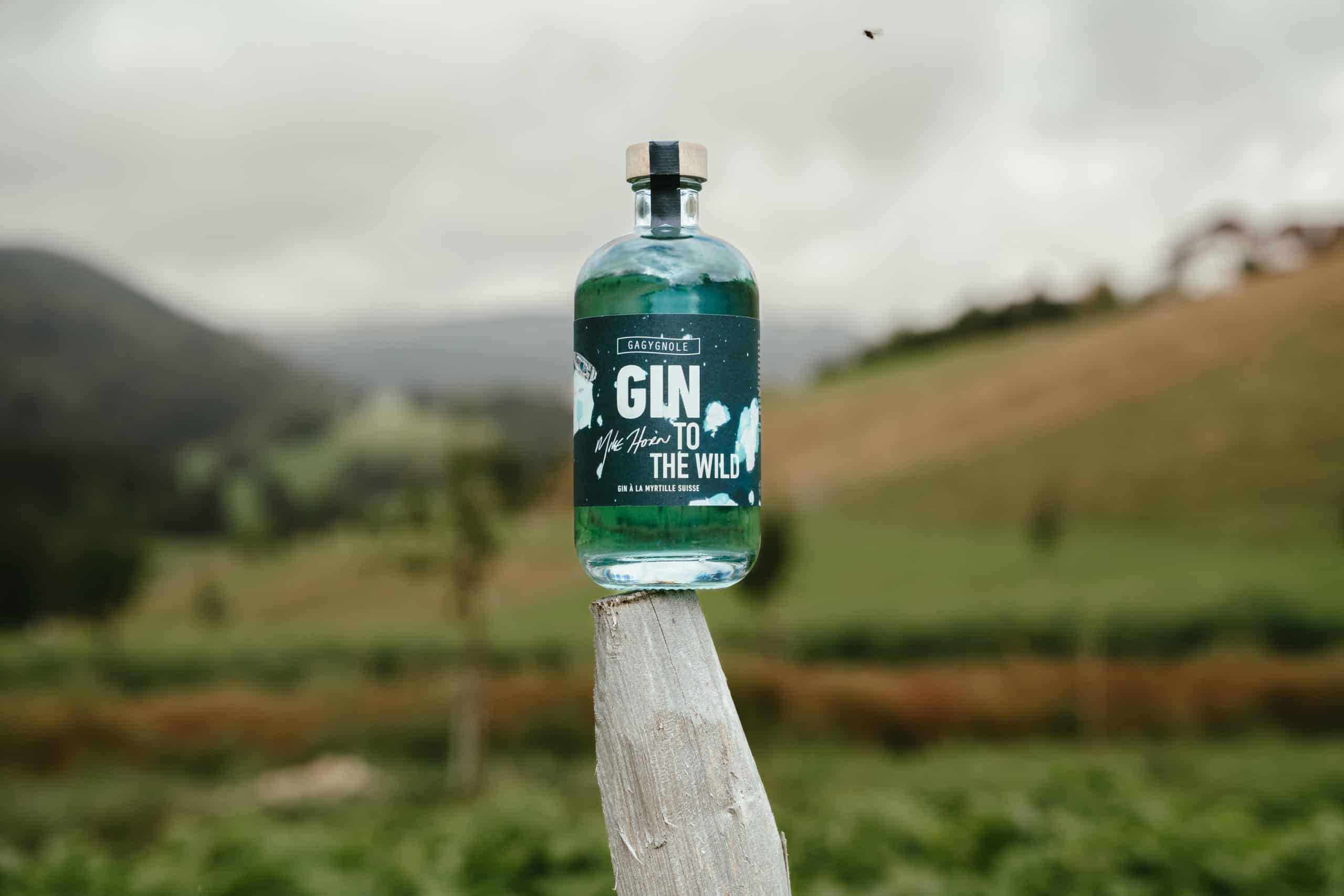 Mike Horn Gin to the wild