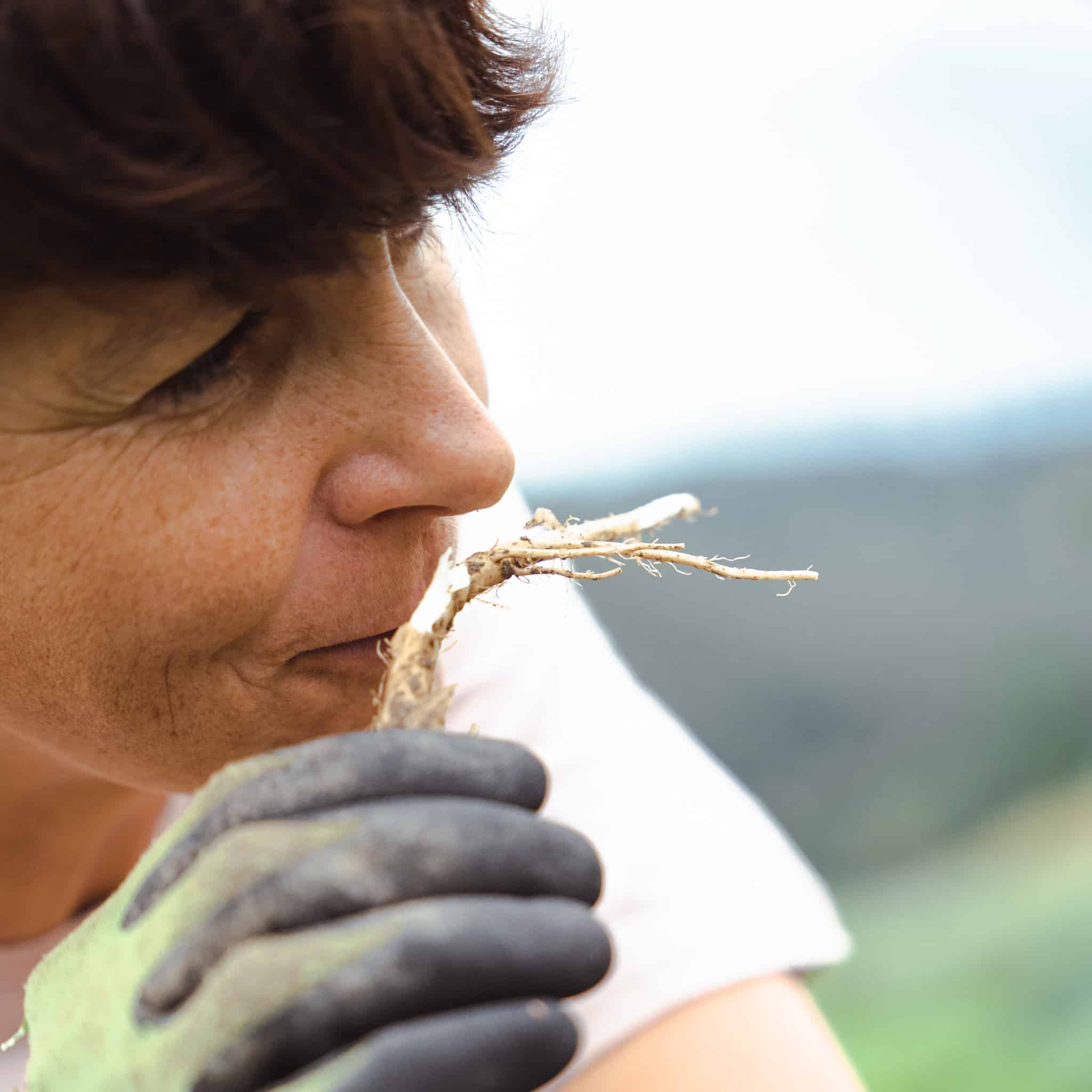 Le Chass bio – Image 4