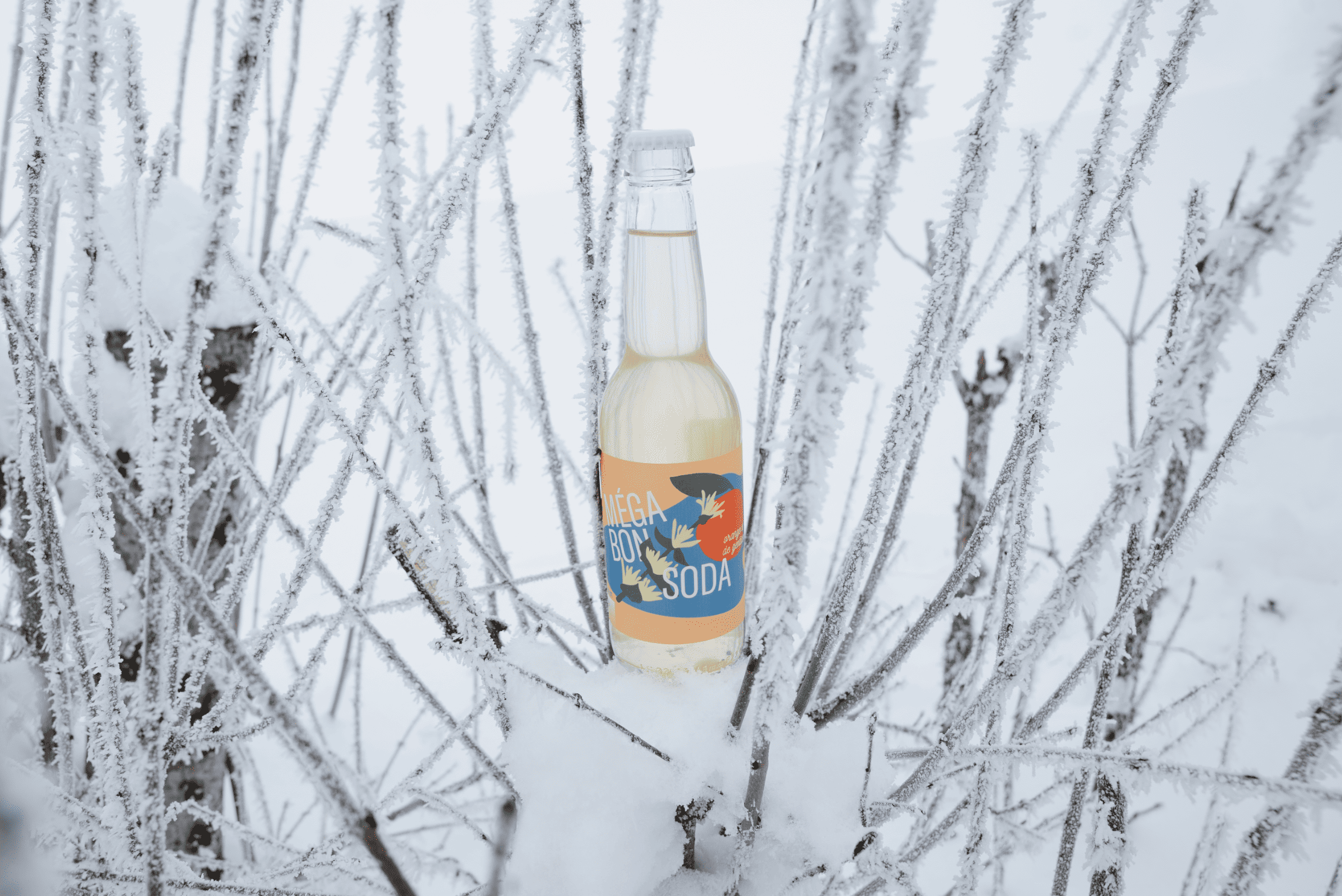 mega bon soda orange