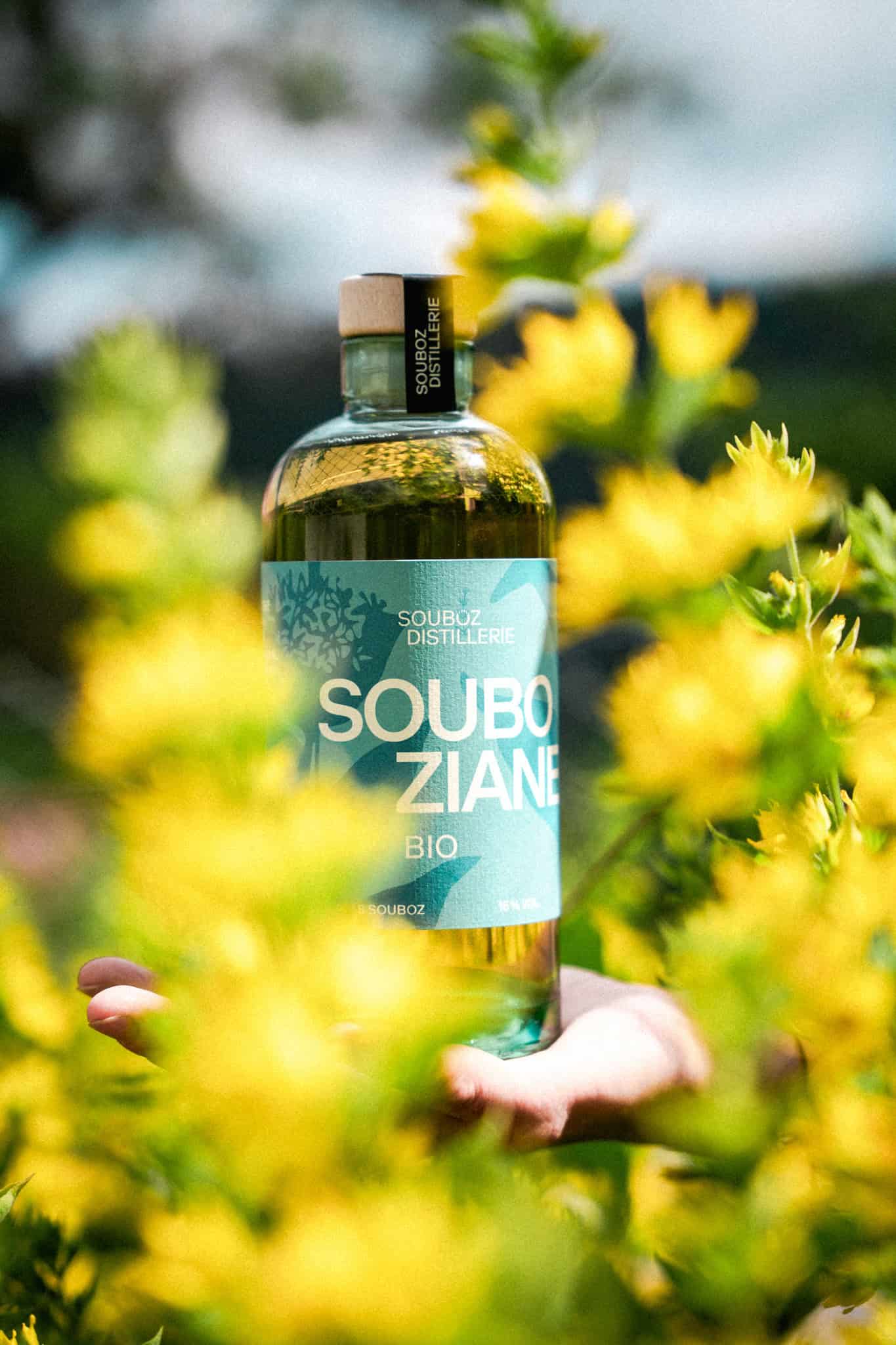 Souboziane bio – Bild 3