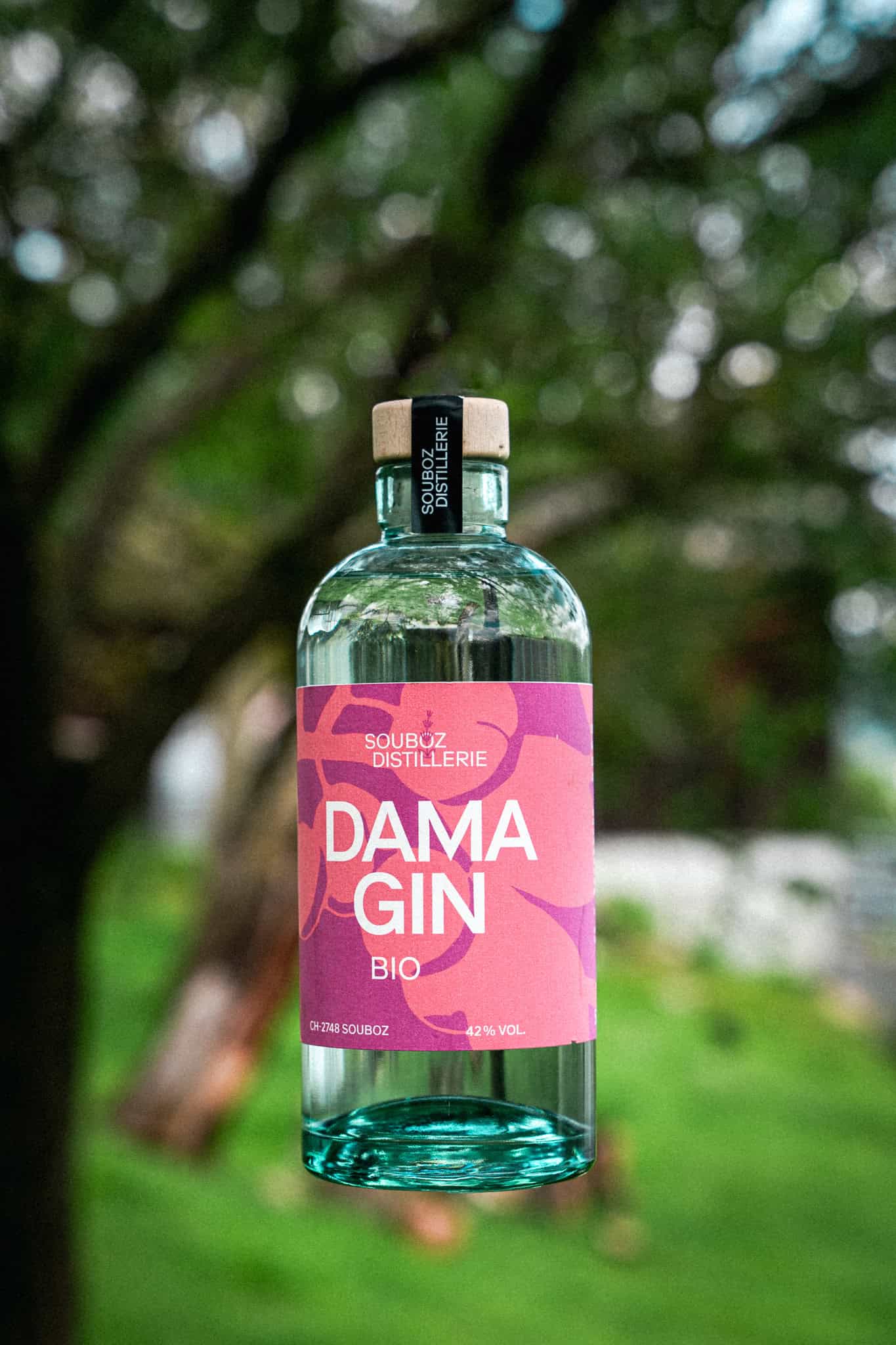 Dama Gin bio – Image 5