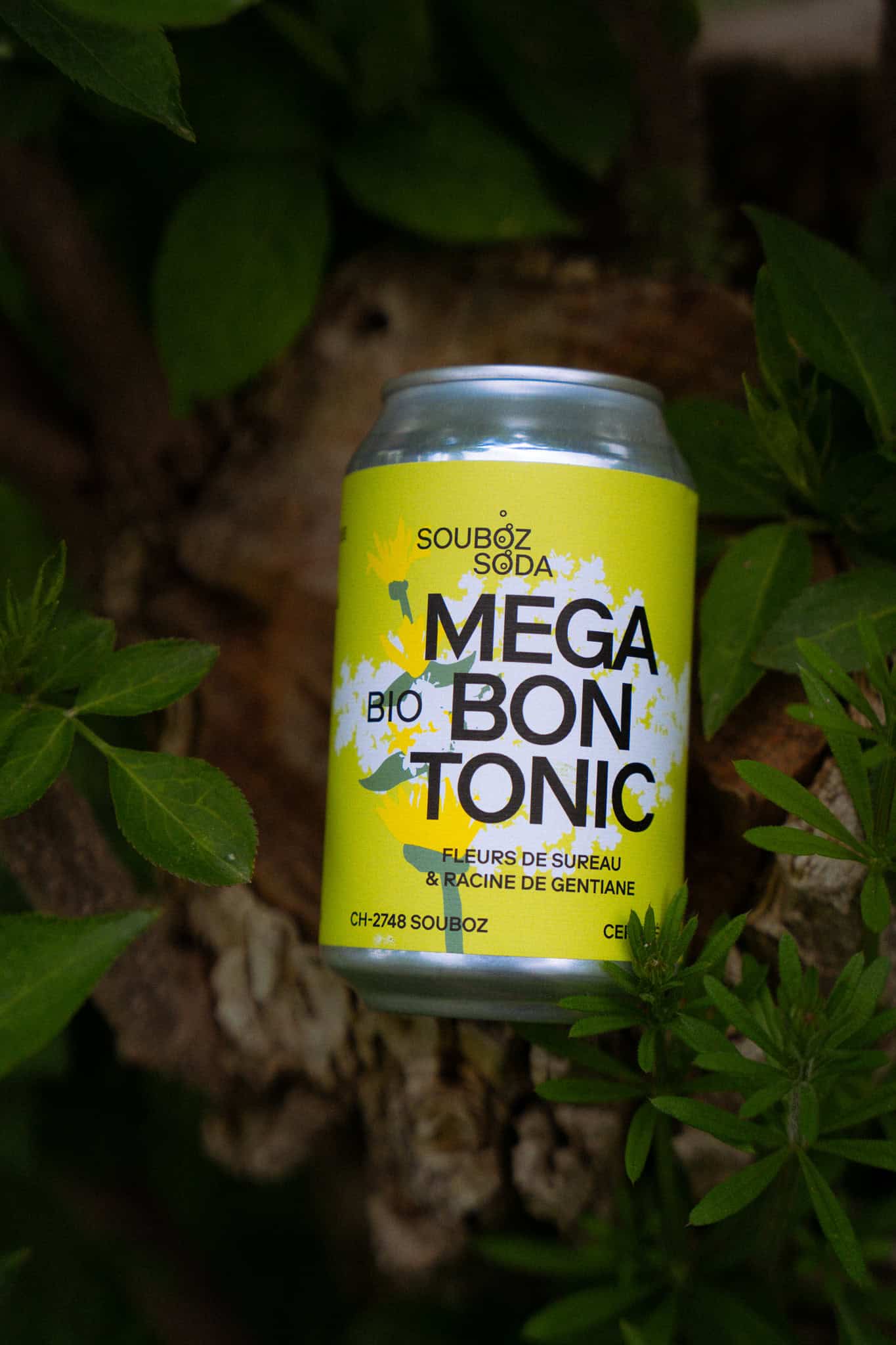 Mega bon tonic bio – Image 8